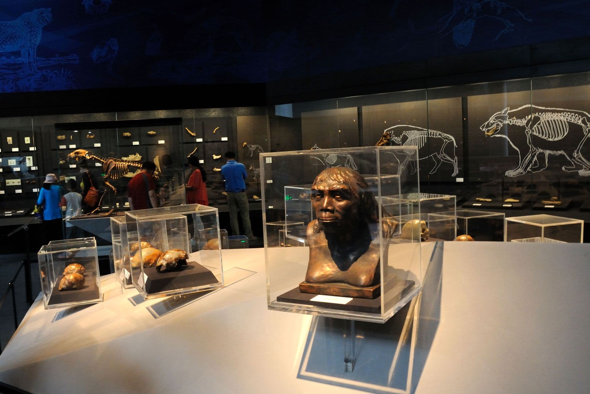 Peking-Mensch Museum in Zhoukoudian: Auf den Spuren der Urmenschen
