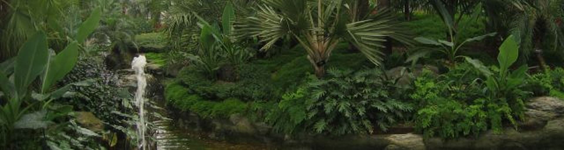 Shanghai Inside: Groß, Größer, botanischer Garten