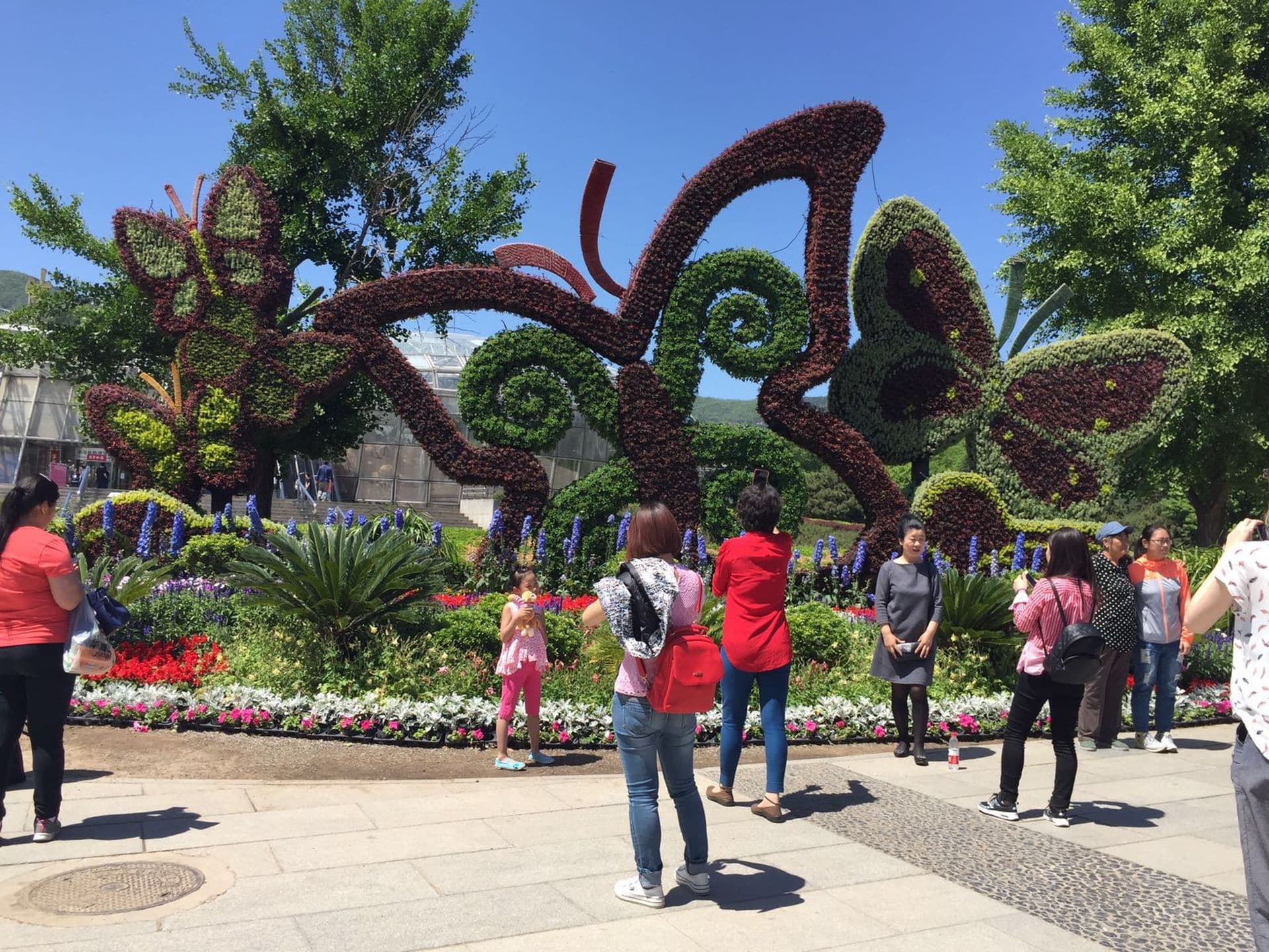 Ein heißer Sommer in Peking