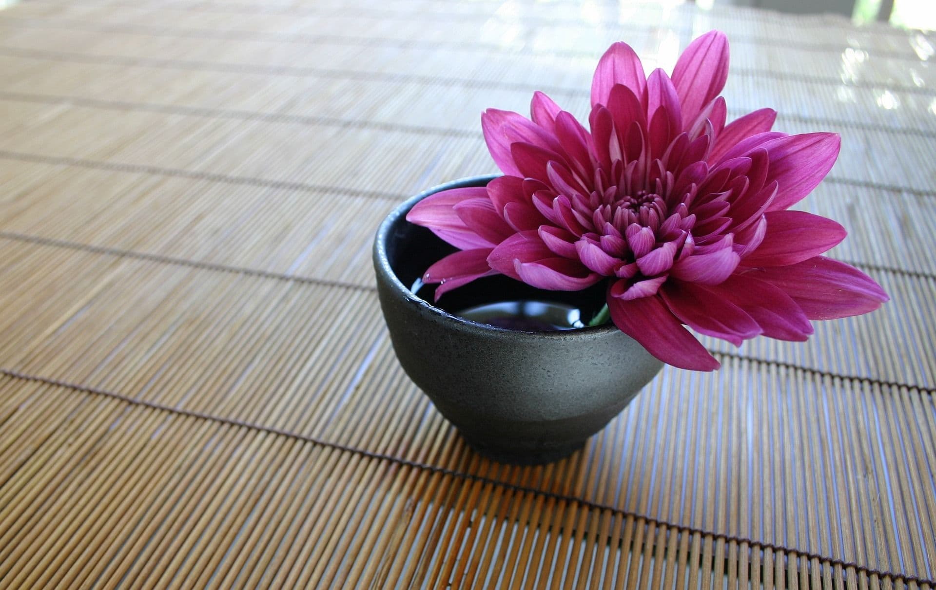 Das Chongyang-Fest: Wie Blumen den Teufel besiegten
