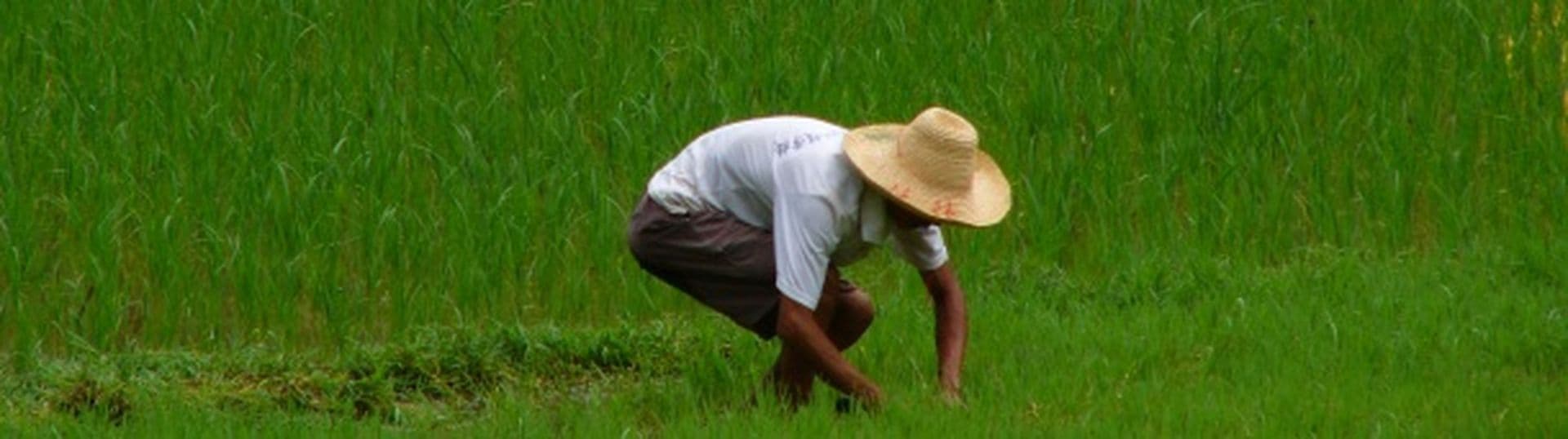 Reisebericht: Rundreise durch Südvietnam
