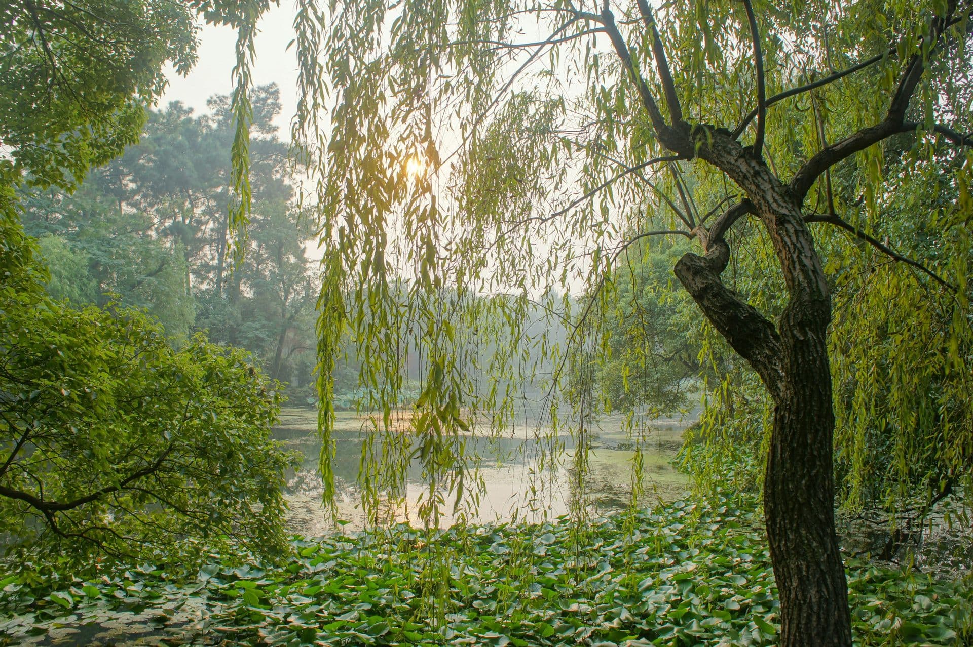 Hangzhou: bezaubernder Ort am Westsee