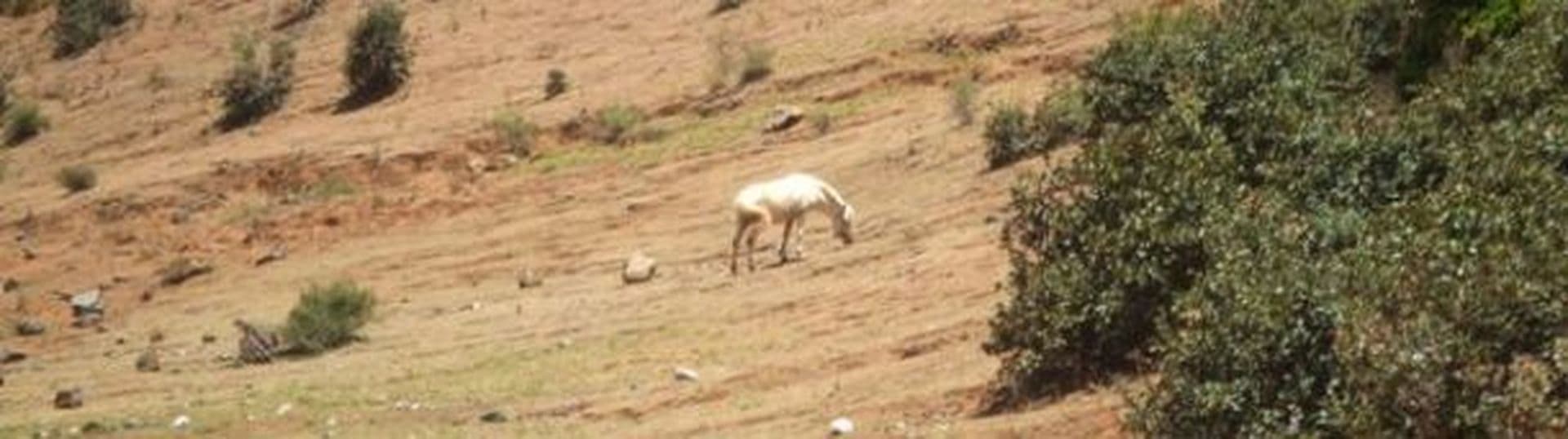 Reise ins Land der Töchter- Bei den Mosuo in Yunnan Teil 3