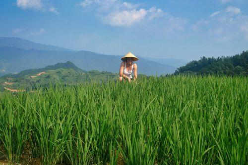 Rice Terraces in Longsheng