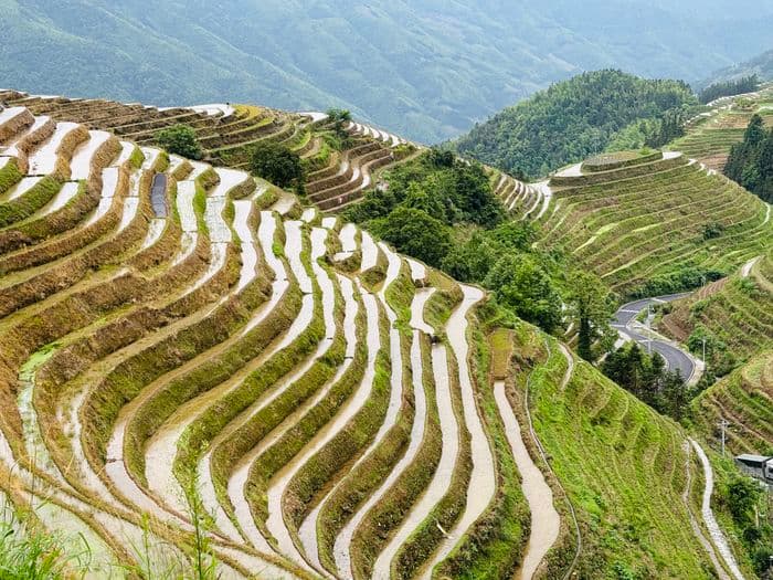 cth: Rice Terraces Longsheng