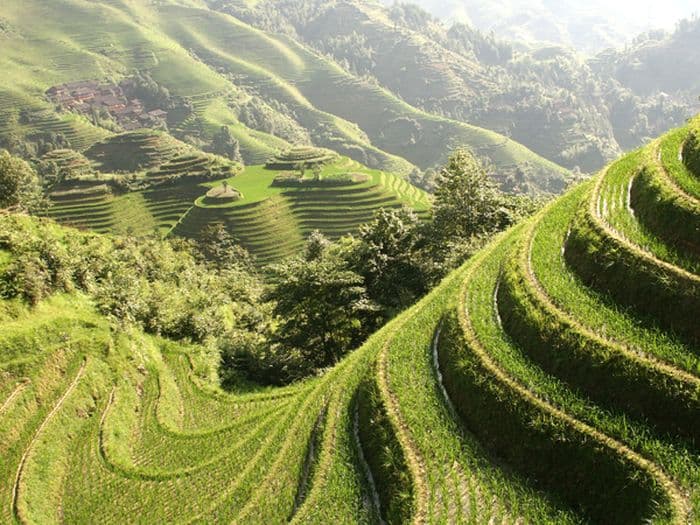 Longsheng Rice terrace