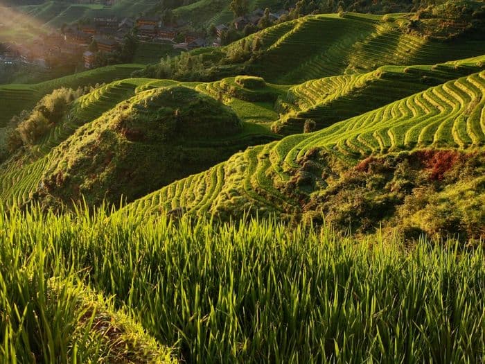 Longsheng Rice terrace