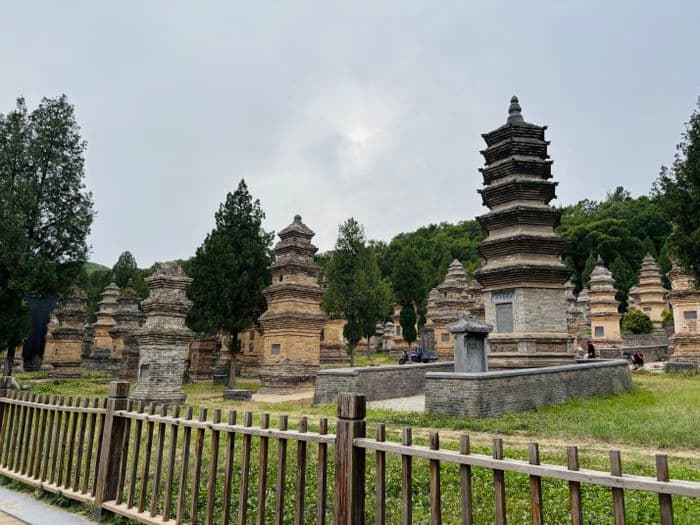 cth: Shaolin Monastery, Pagoda Forest