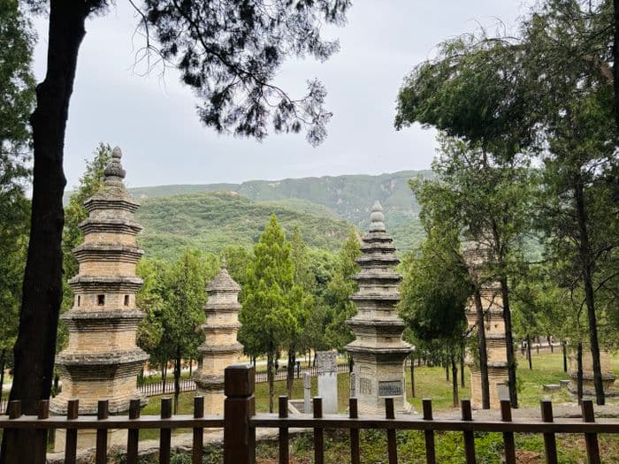 cth: Shaolin Monastery - Pagoda Forest