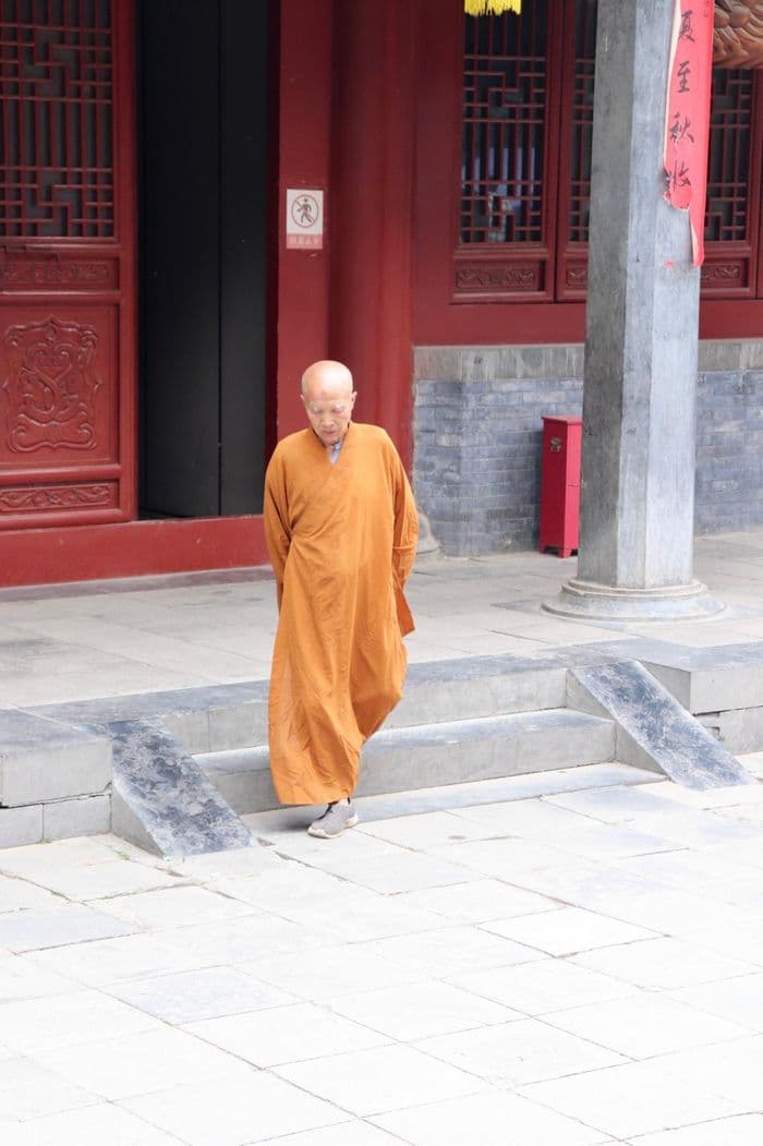cth: Shaolin Monk 2025