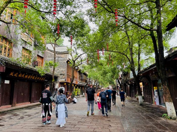cth: Fenghuan Walk 2025