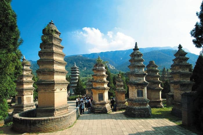 Luoyang pagoda forest.