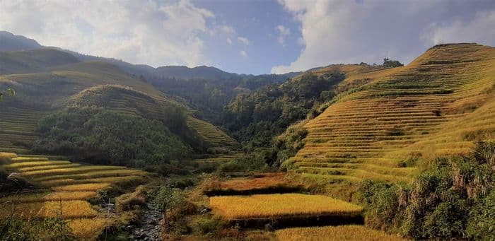 Chinas Glanzlichter: Meine erste Reise in das Reich der Mitte