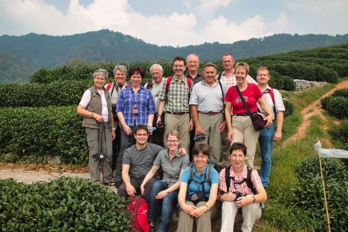 Tea Plantation Hangzhou Group Picture